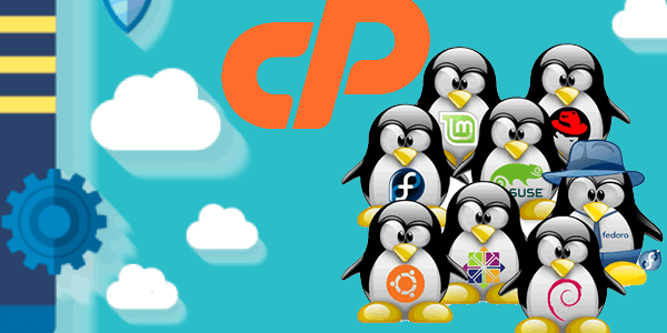 servidor vps com whm cpanel gratis